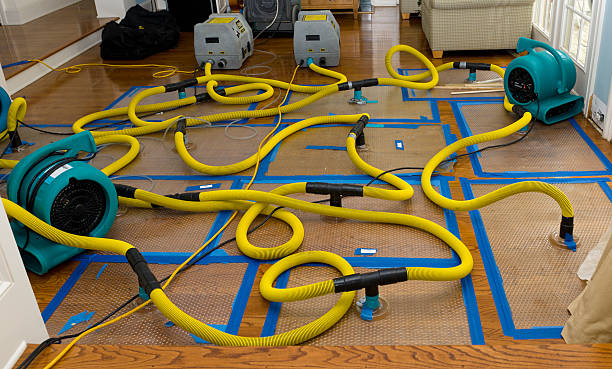 Professional Storm Water Damage Restoration technician working in Campo, CA